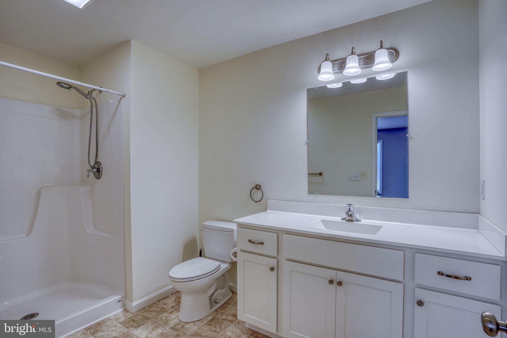 12448 Deer Forest Road Bridgeville, DE 19933 - Photo 36 of 44 Bright and airy modern bathroom retreat.