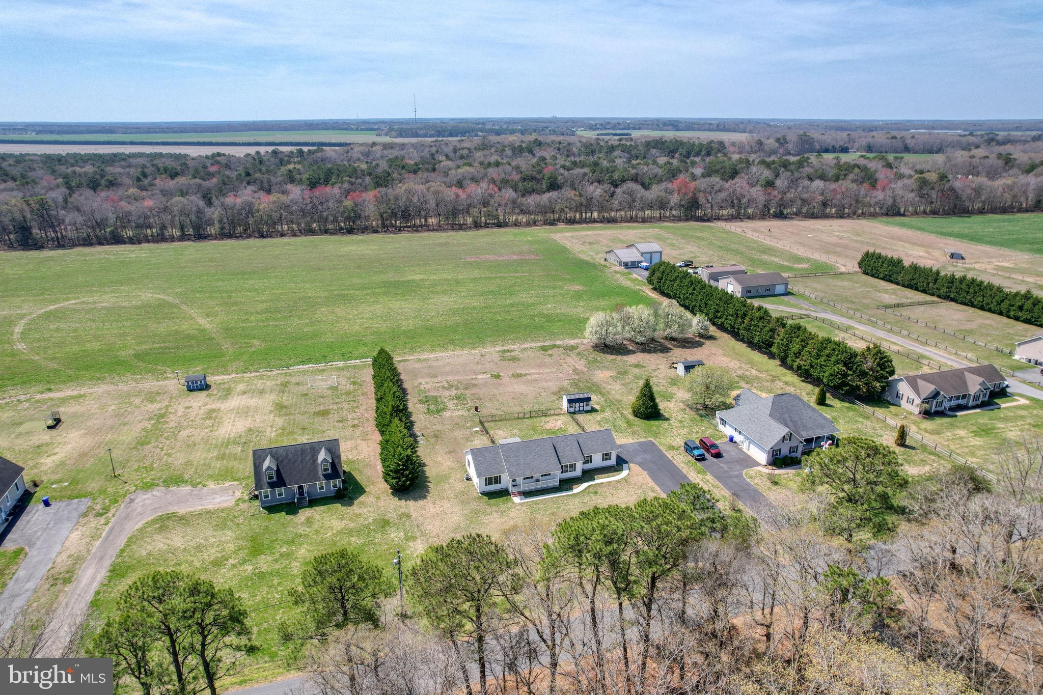 12448 Deer Forest Road Bridgeville, DE 19933 - Photo 5 of 44 Sprawling countryside retreat awaits!