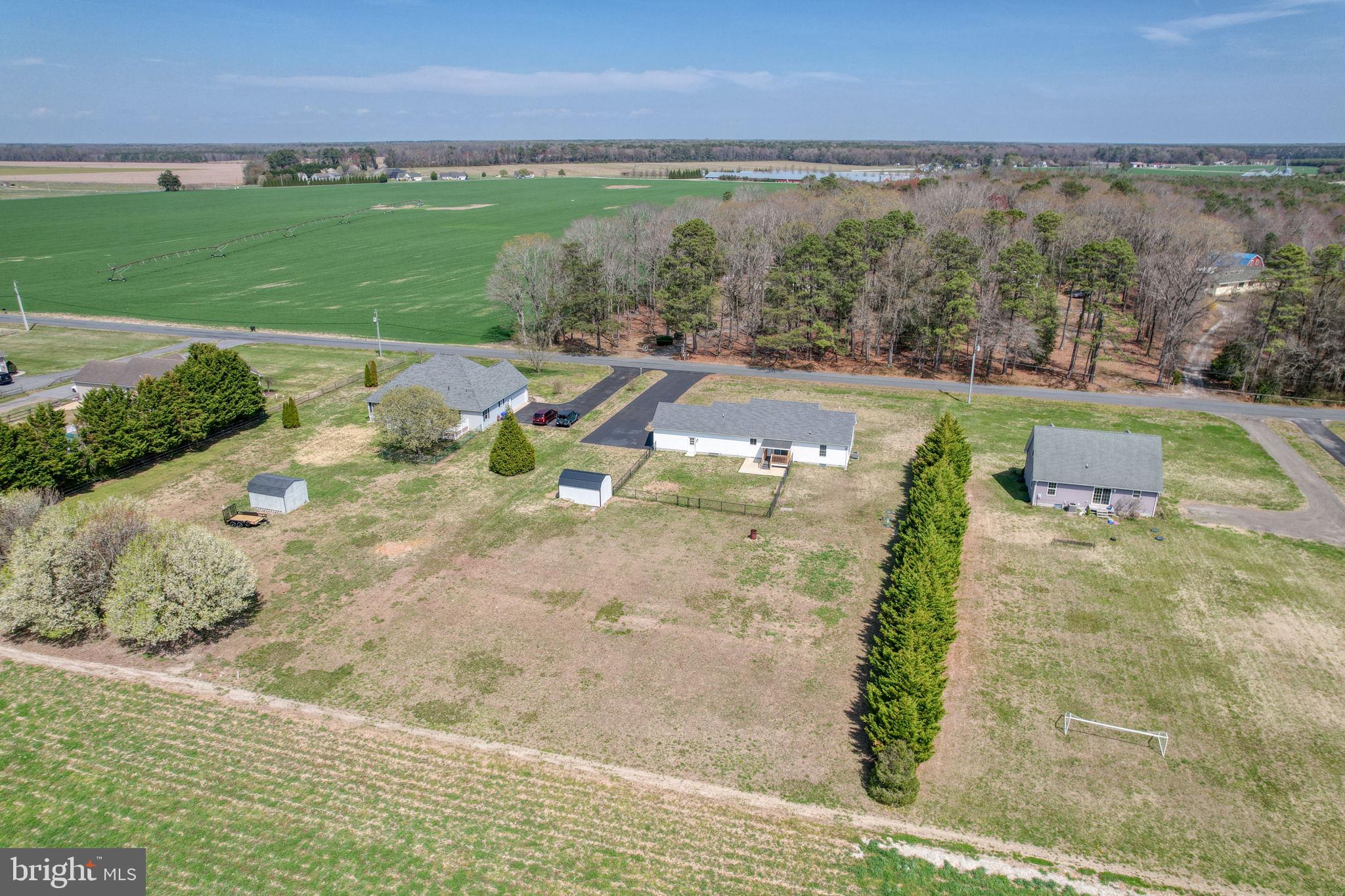 12448 Deer Forest Road Bridgeville, DE 19933 - Photo 6 of 44 Spacious rural retreat with lush fields.
