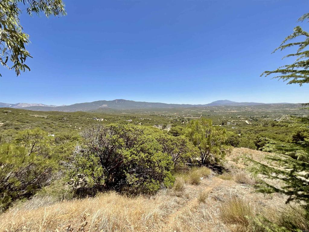 38281 Western Hills Road Anza, CA 92539 - Photo 34 of 75