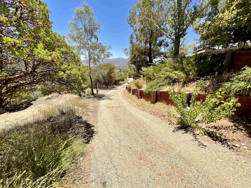 38281 Western Hills Road Anza, CA 92539 - Photo 36 of 75 a view of a yard with trees