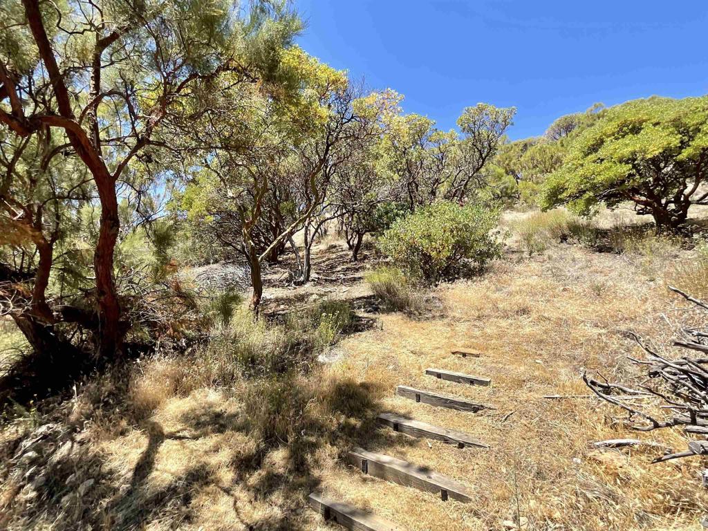 38281 Western Hills Road Anza, CA 92539 - Photo 44 of 75 a view of a yard with a tree