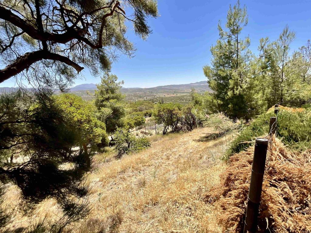 38281 Western Hills Road Anza, CA 92539 - Photo 45 of 75 a view of a yard with wooden fence