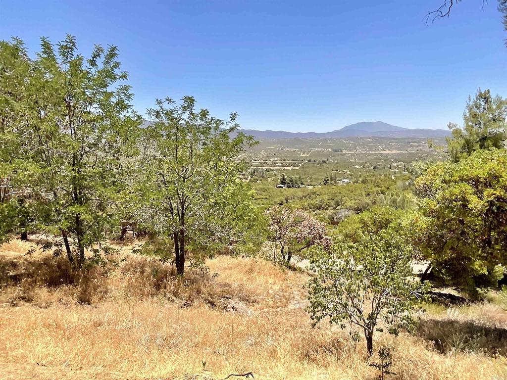 38281 Western Hills Road Anza, CA 92539 - Photo 46 of 75 a view of a field with a tree in the background