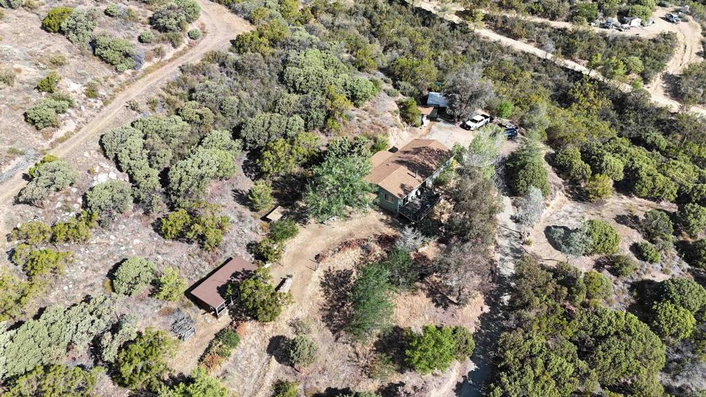 38281 Western Hills Road Anza, CA 92539 - Photo 60 of 75 a view of a forest with a tree