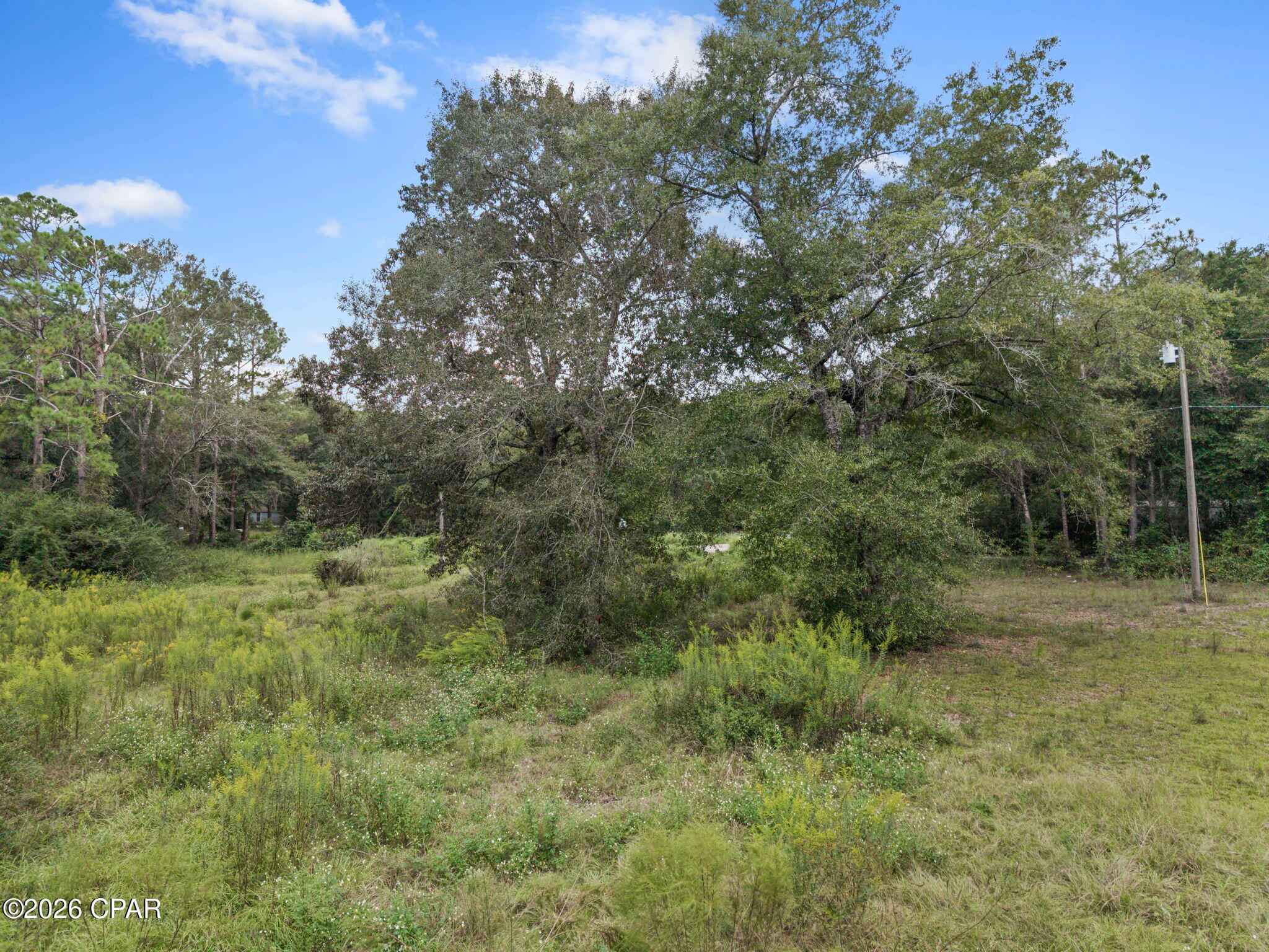 Xxx Everly Road Bonifay, FL 32425 - Photo 7 of 9 Gallery Image 7