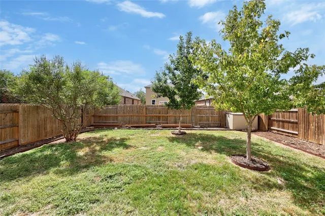 a backyard with a tree