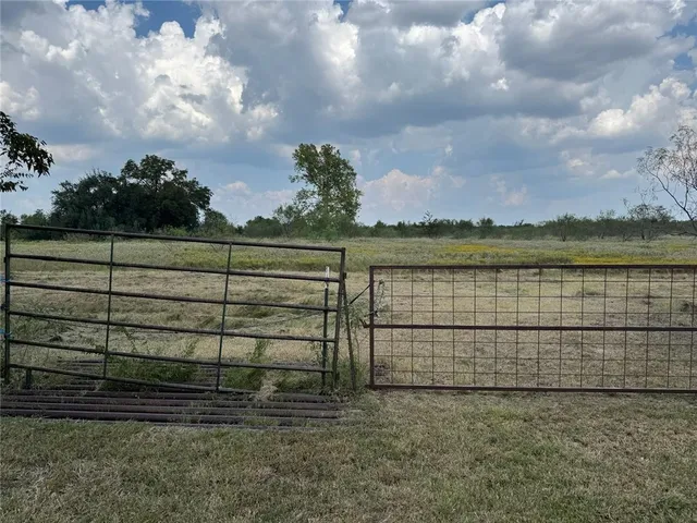 a view of a field with trees