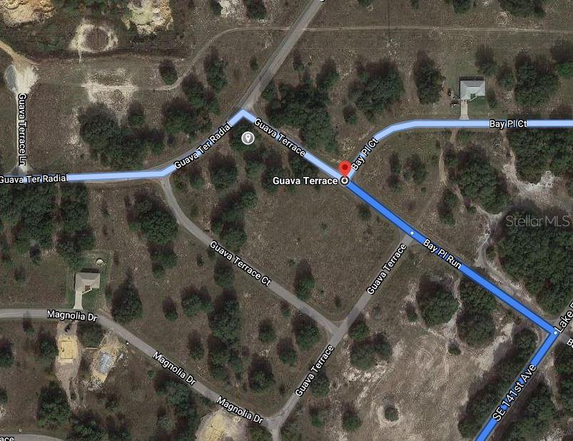 Guava Terrace Ocklawaha, FL 32179 - Photo 2 of 3