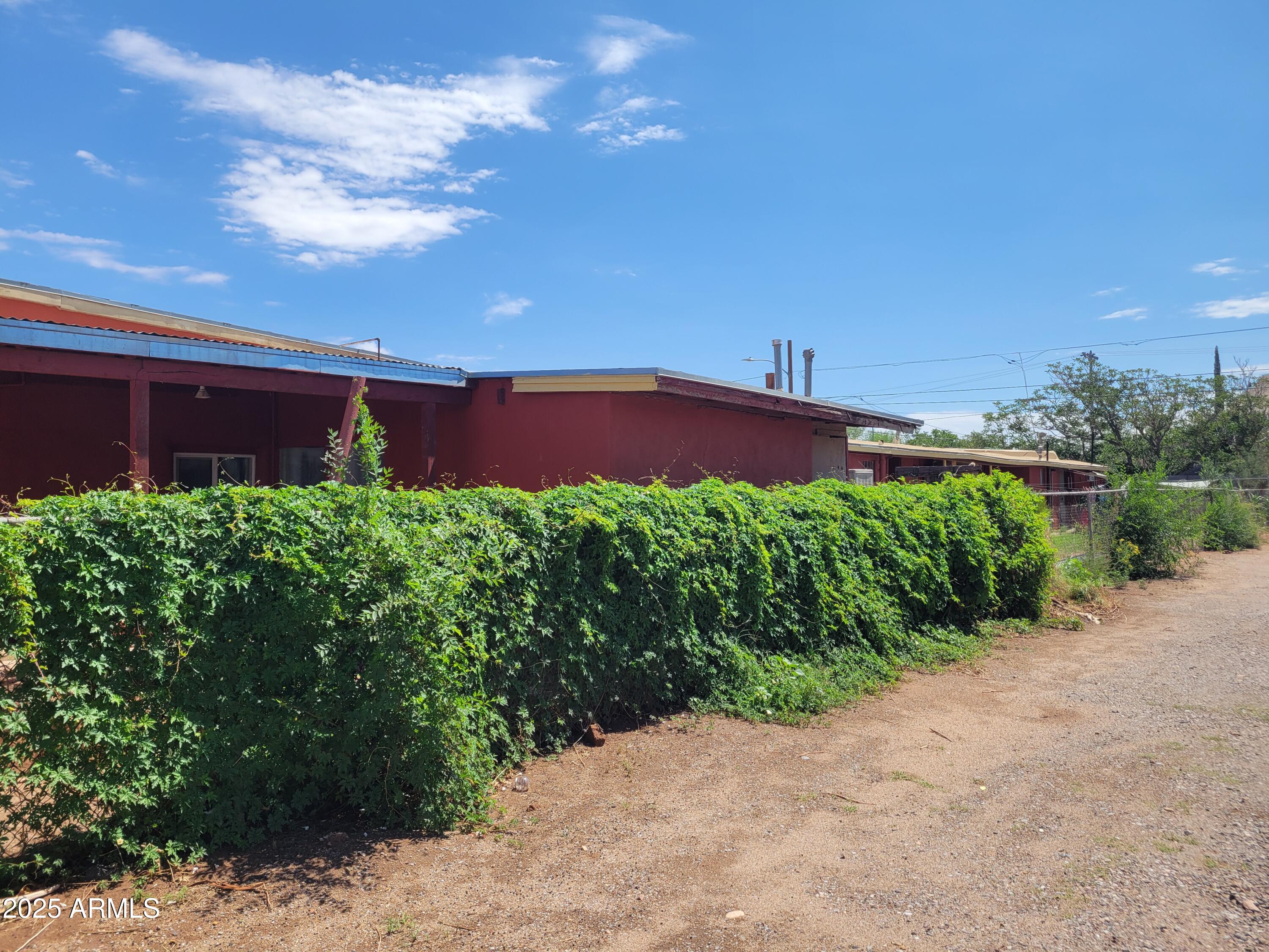 335 North G Avenue Douglas, AZ 85607 - Photo 18 of 20 a view of a bunch of plants