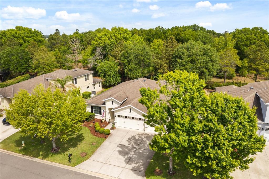 30231 Hackney Loop Mount Dora, FL 32757 - Photo 7 of 36