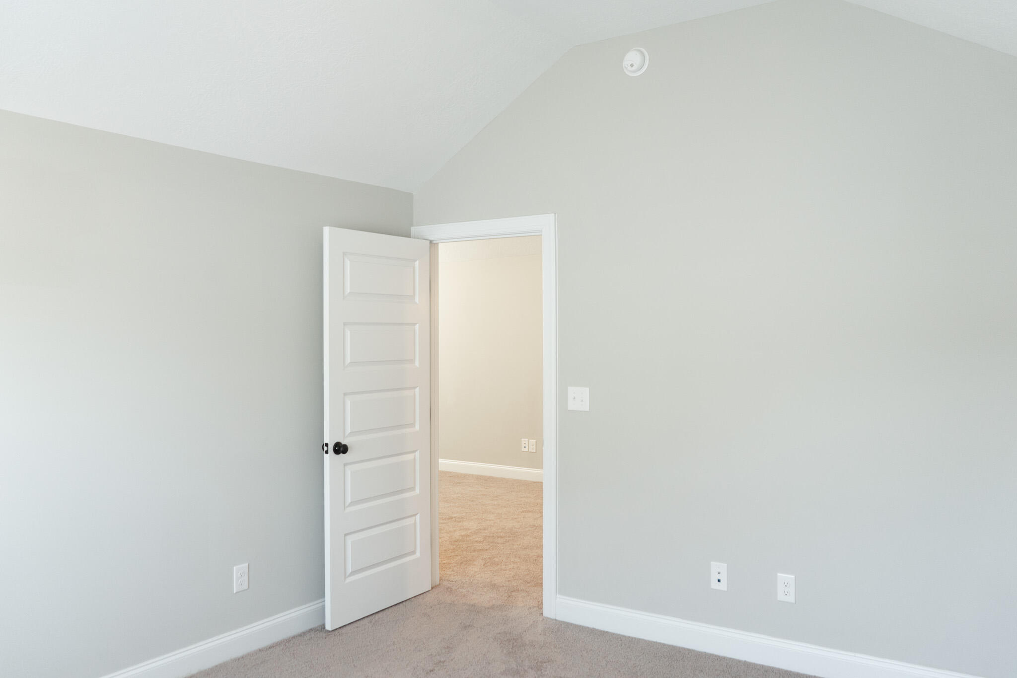 231 Switchgrass Run Aiken, SC 29803 - Photo 41 of 46