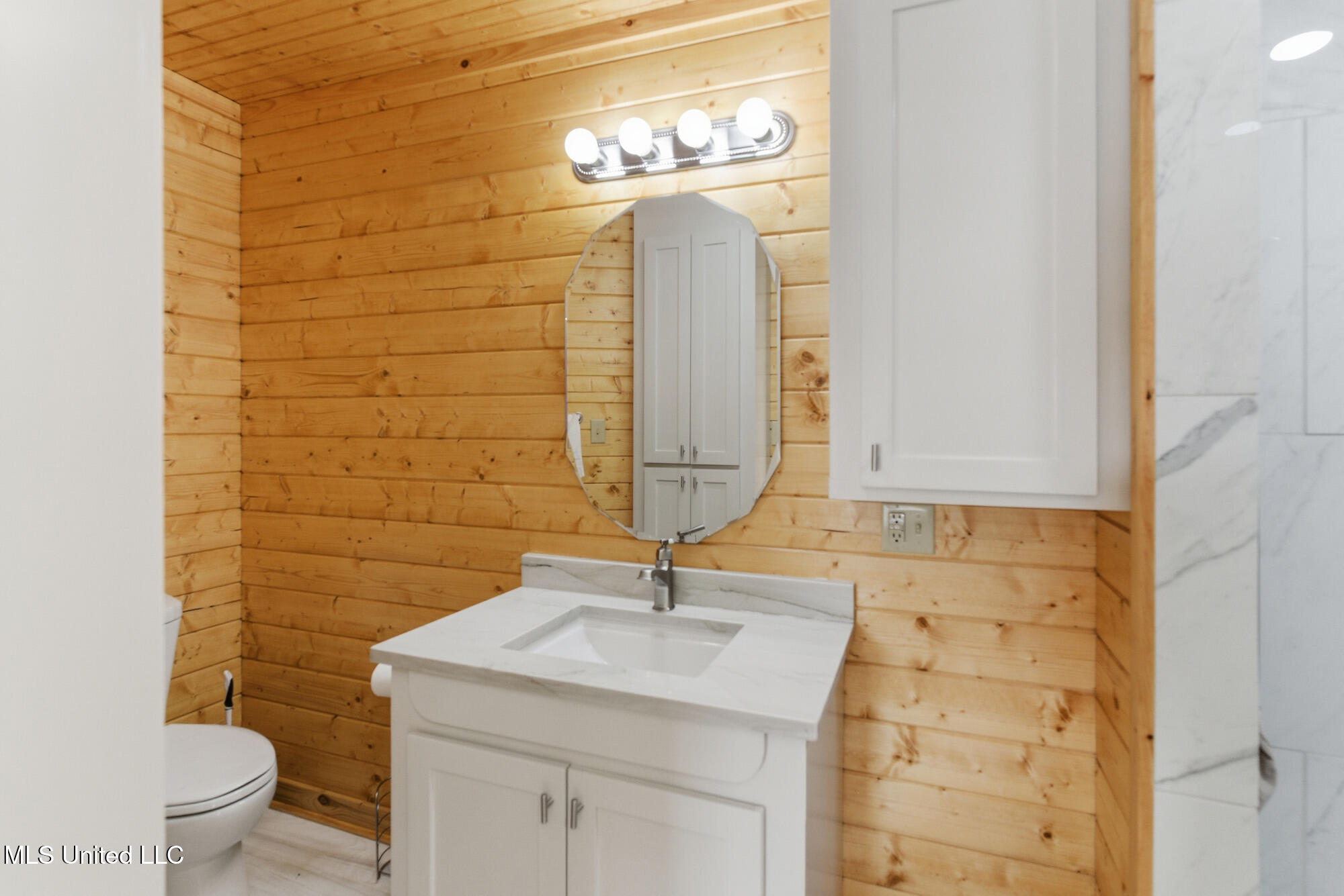 15 Lakeridge Point Lumberton, MS 39455 - Photo 16 of 36 dsc09756