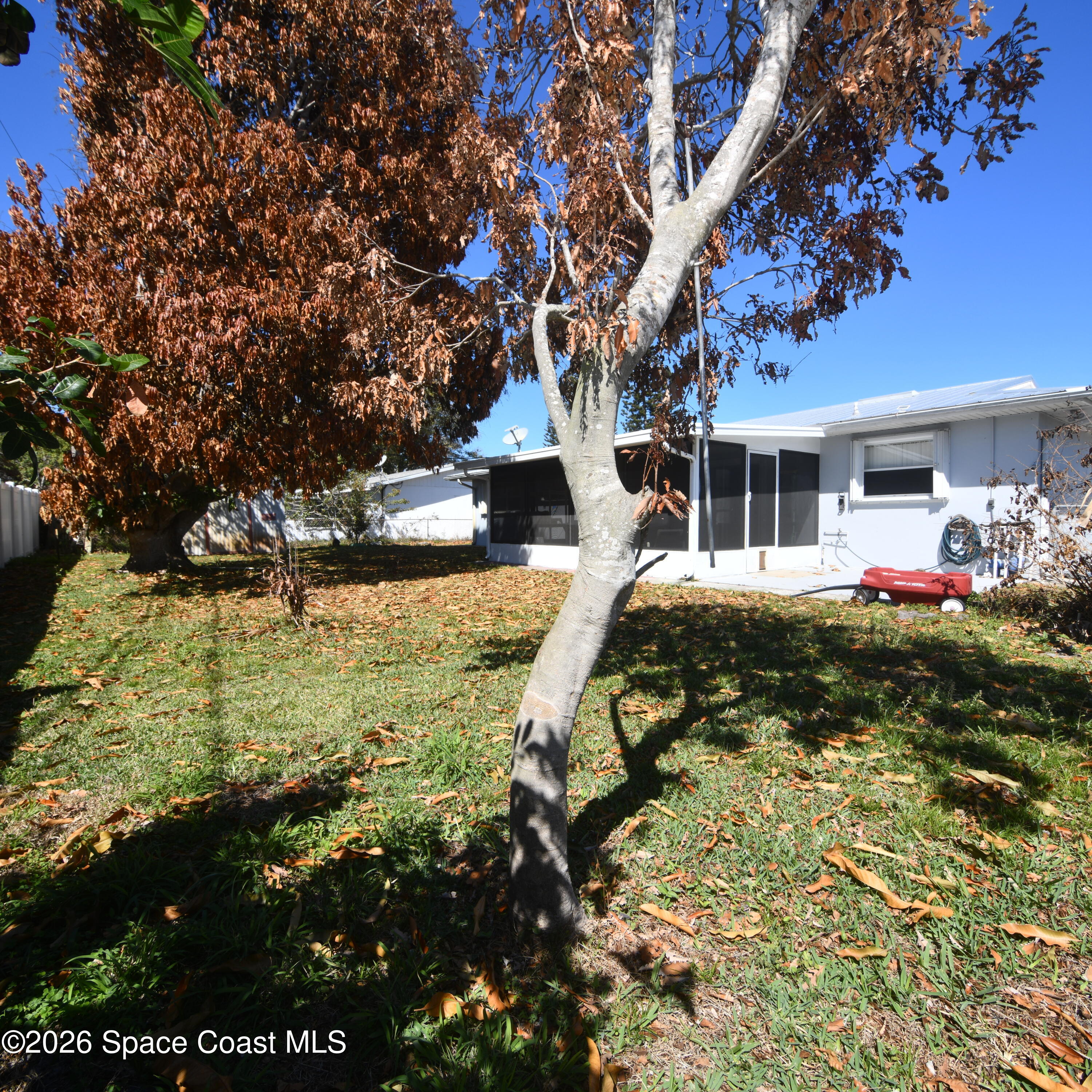 839 Angle Street Northeast Palm Bay, FL 32905 - Photo 17 of 21 a view of a yard with plants and a bench