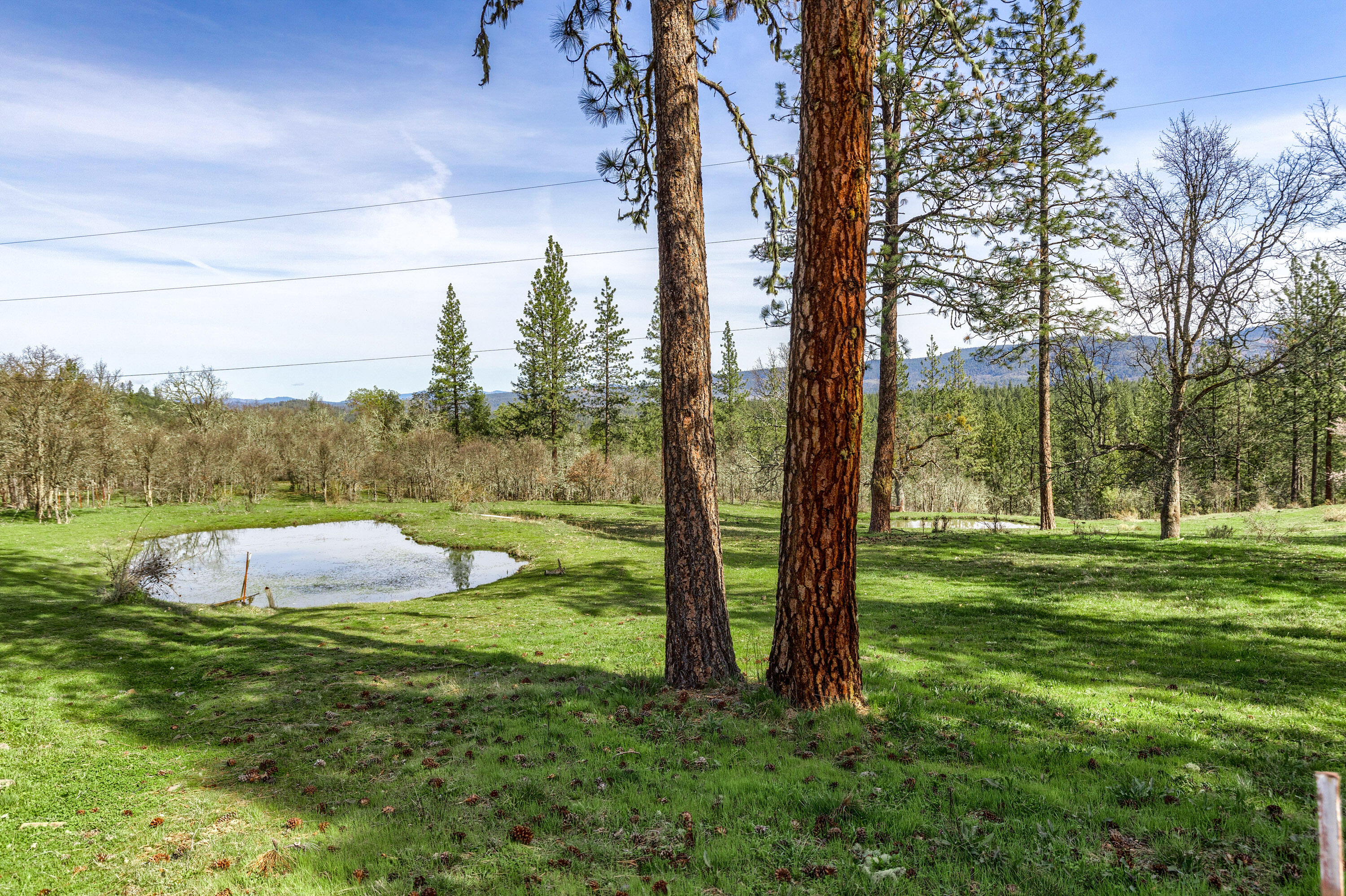2150 North Obenchain Road Eagle Point, OR 97524 - Photo 24 of 69 a view of an outdoor space and a yard