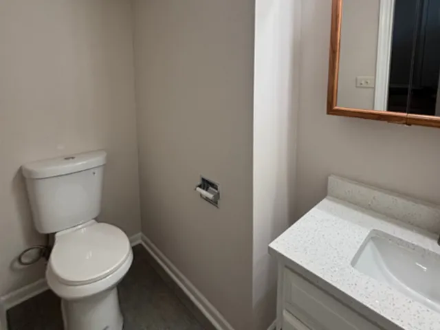 a bathroom with a sink and a toilet