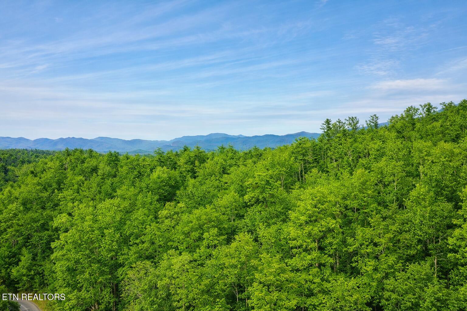 Lot 41 Black Maple Way Del Rio, TN 37727 - Photo 9 of 23 Aerial View of Property
