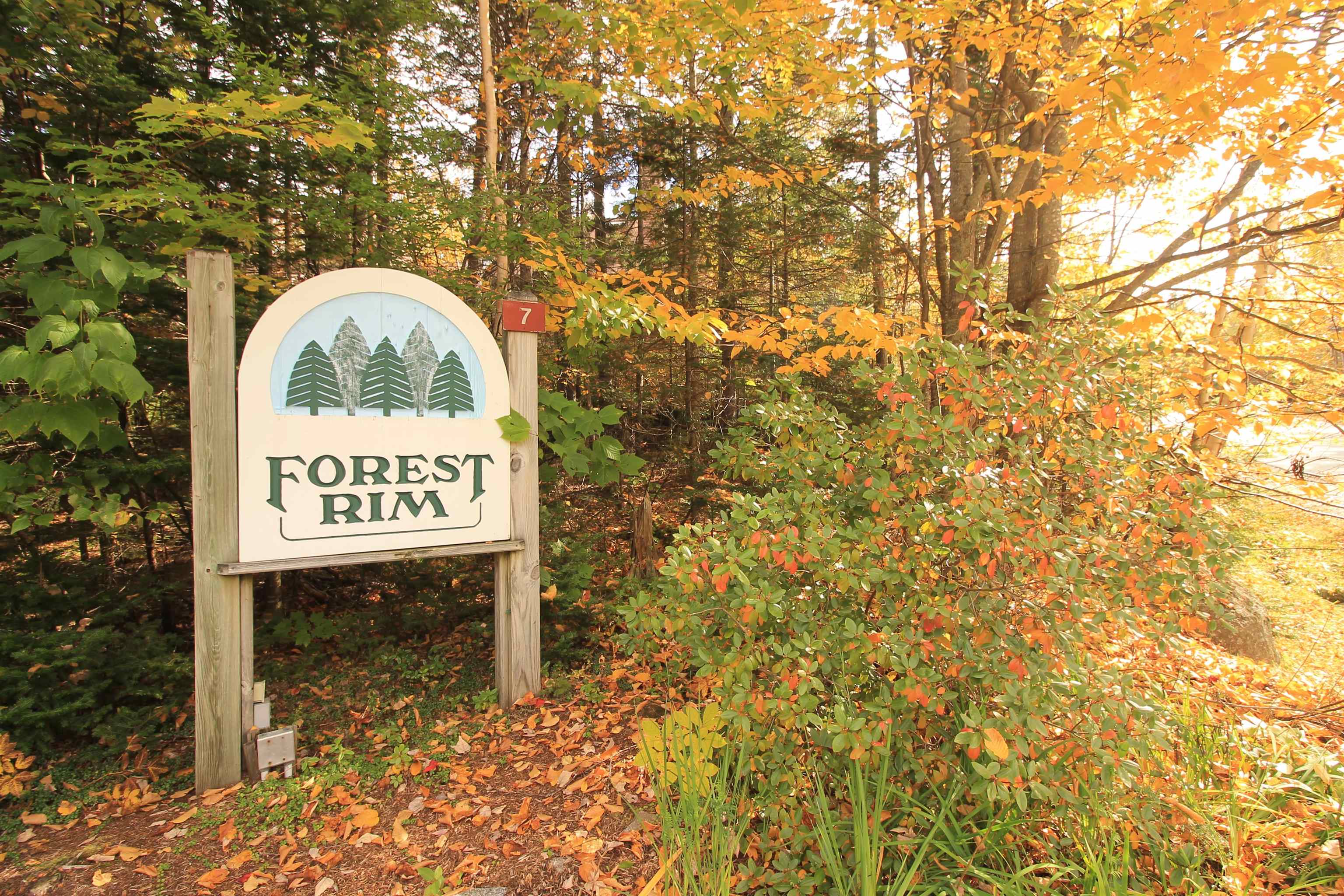 12 Forest Rim Way, Unit 3 Waterville Valley, NH 03215 - Photo 21 of 21