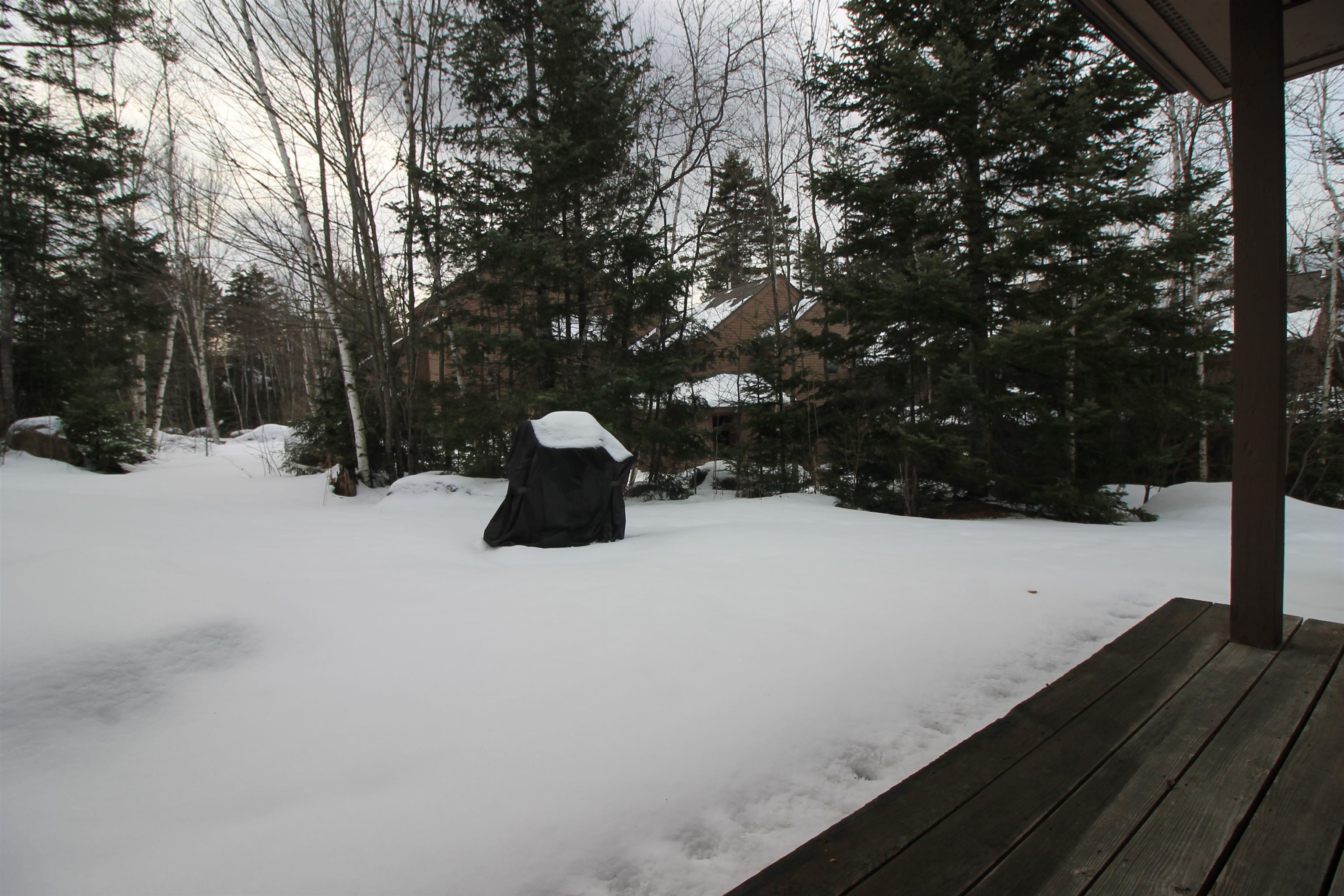 12 Forest Rim Way, Unit 3 Waterville Valley, NH 03215 - Photo 7 of 21