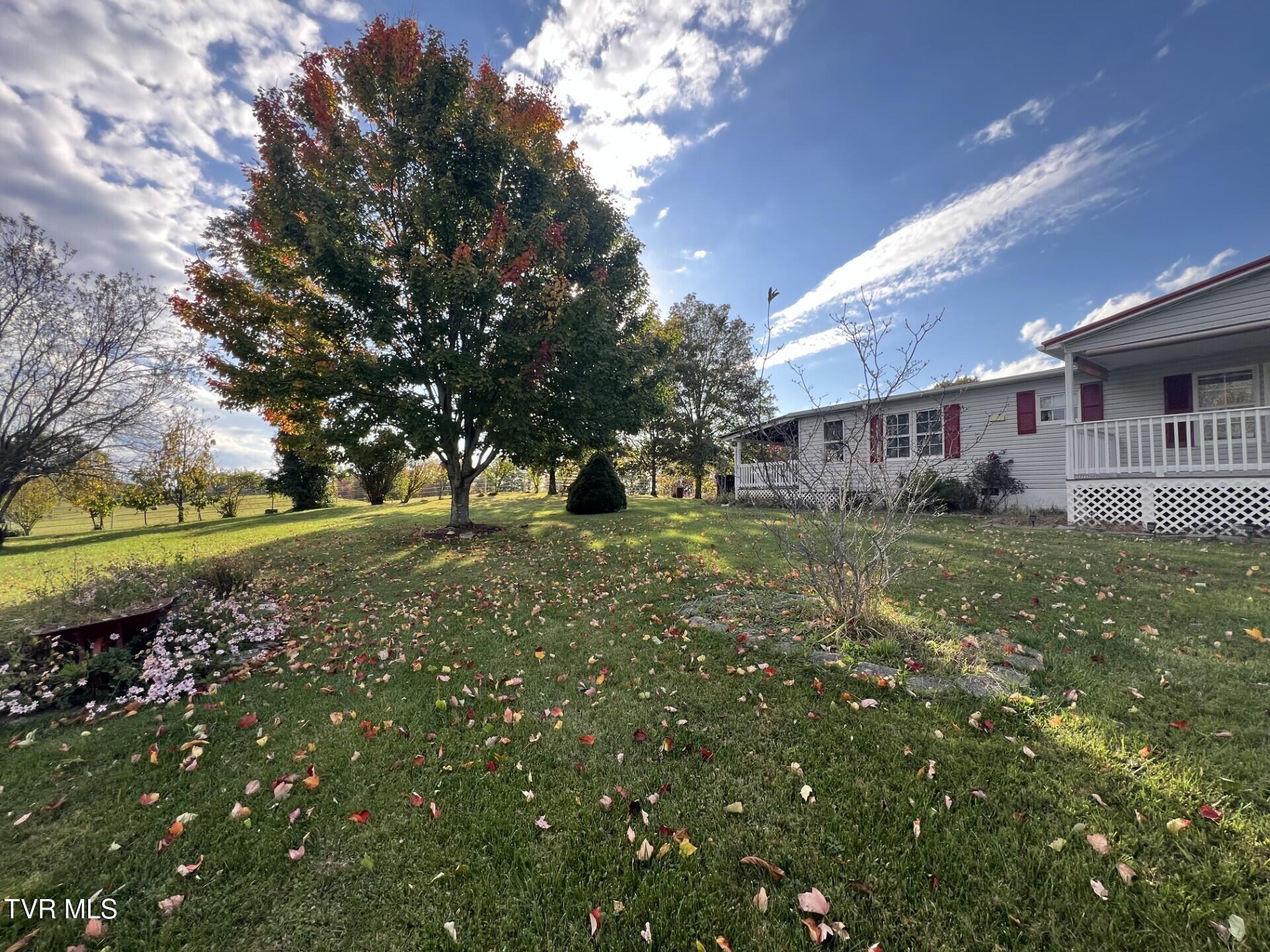 7049 DC Caney Ridge Road Coeburn, VA 24230 - Photo 3 of 35 Side 2