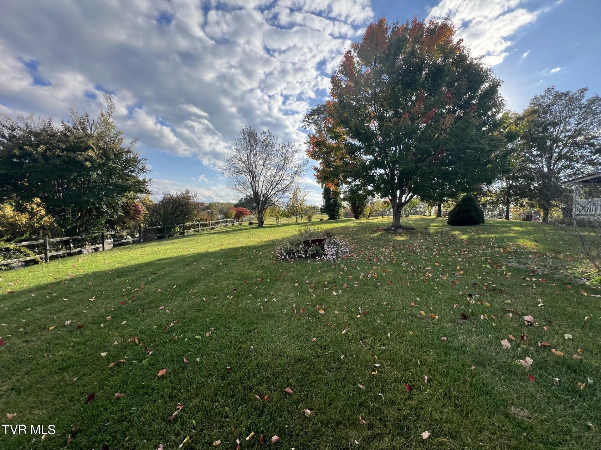 7049 DC Caney Ridge Road Coeburn, VA 24230 - Photo 9 of 35 Yard