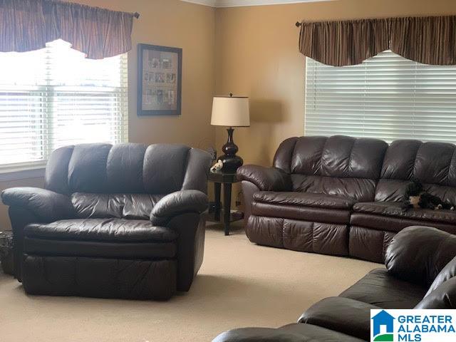 9376 Old Toadvine Road Bessemer, AL 35023 - Photo 3 of 45