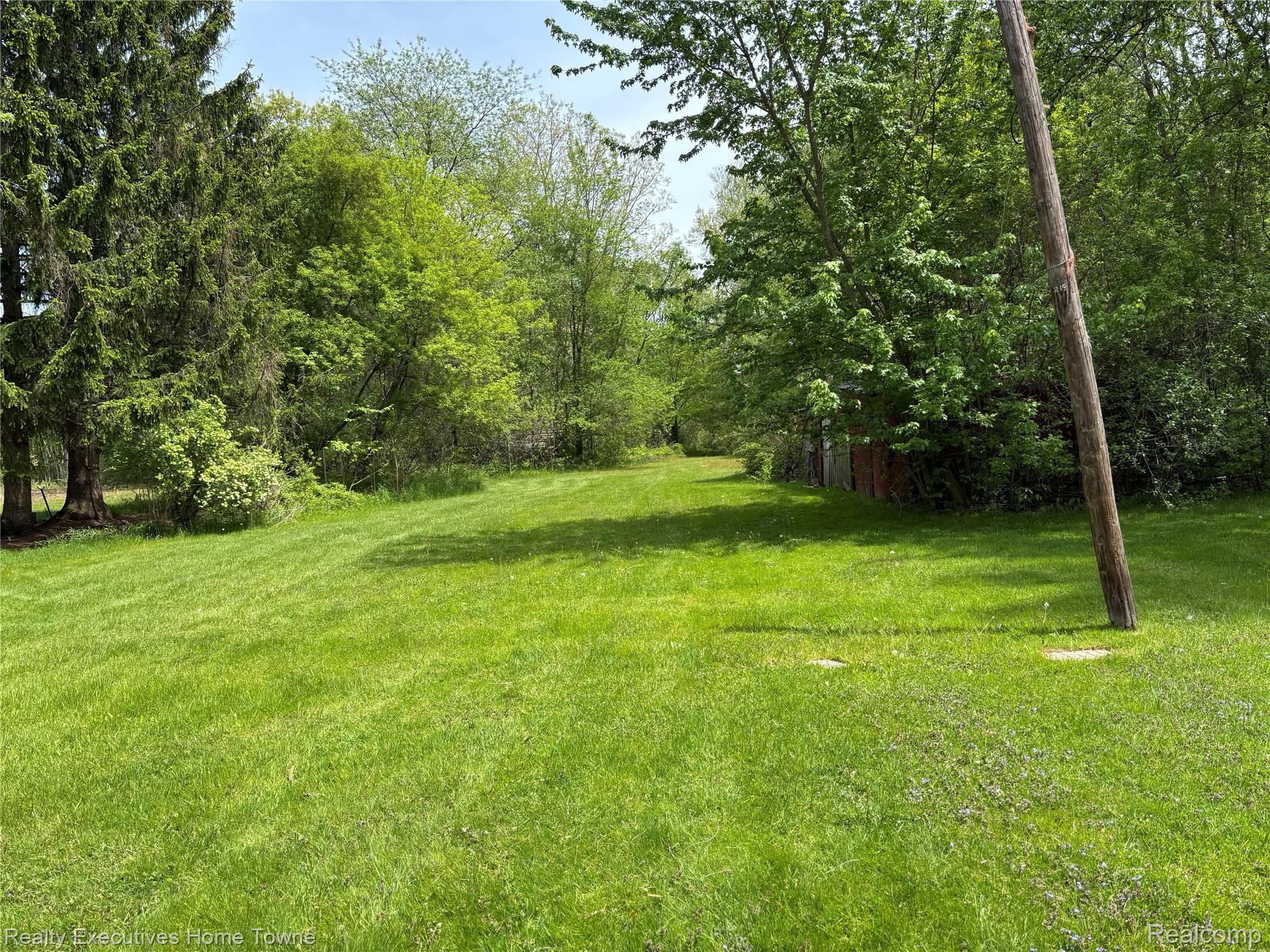 1782 Maple Road Smiths Creek, MI 48074 - Photo 8 of 30 View of green lawn featuring view of wooded area