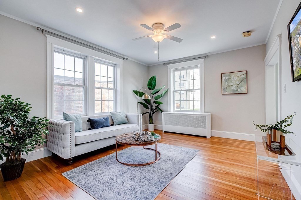 230 Massachusetts Avenue, Unit 2 Arlington, MA 02474 - Photo 5 of 25 a living room with furniture and a potted plant