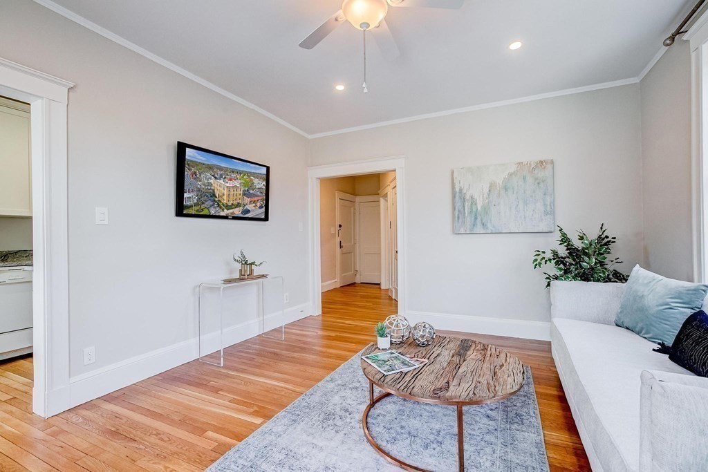 230 Massachusetts Avenue, Unit 2 Arlington, MA 02474 - Photo 8 of 25 a living room with furniture and a potted plant