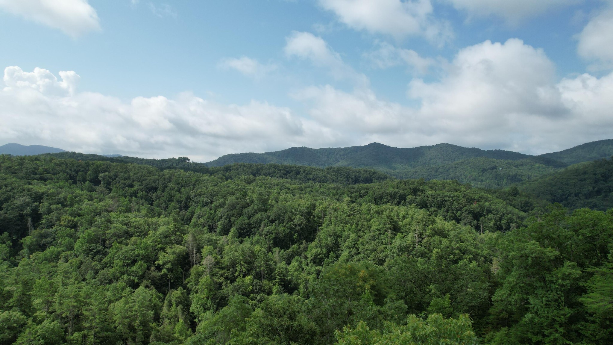 98 Black Powder Lane Sevierville, TN 37862 - Photo 23 of 30
