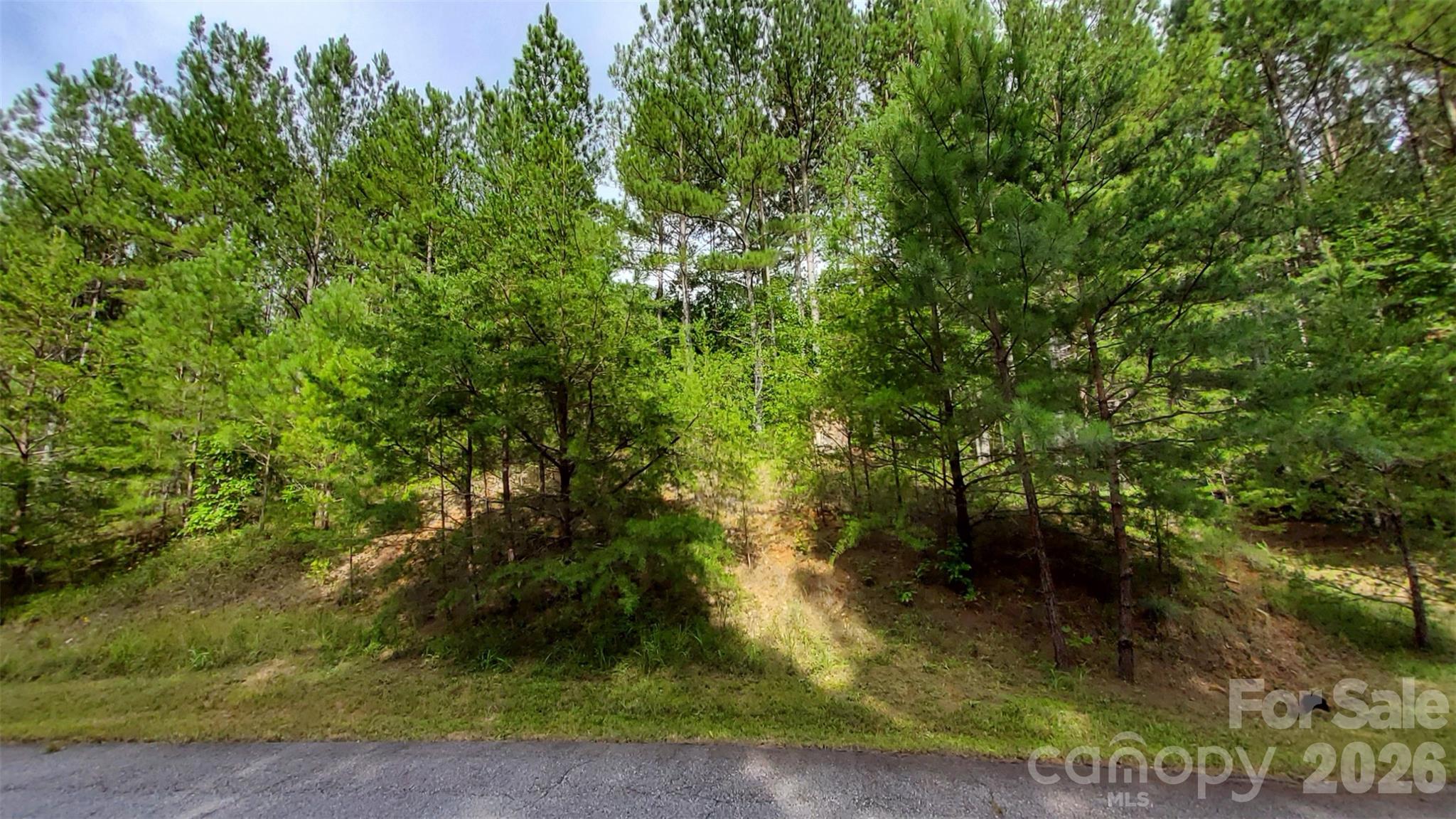 0 Sunset Drive, Unit 12 Mill Spring, NC 28756 - Photo 17 of 20 Gallery Image 17