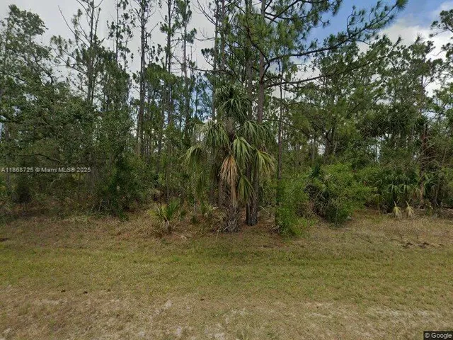 a view of outdoor space and trees