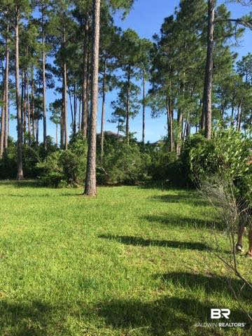 8261 Bay Harbor Road Elberta, AL 36530 - Photo 6 of 9