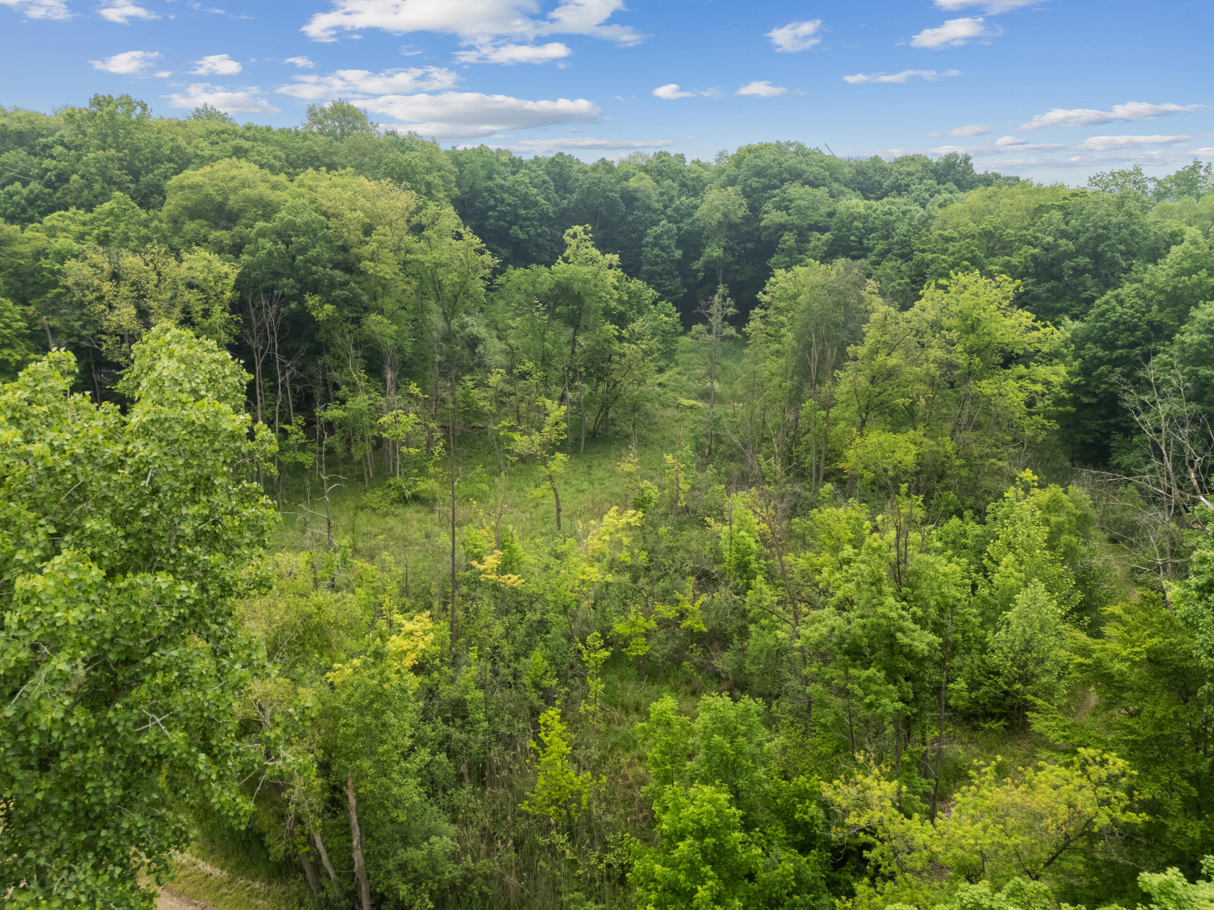 36300 Howard Road Farmington, MI 48331 - Photo 21 of 26 21_36300 howard rd_098