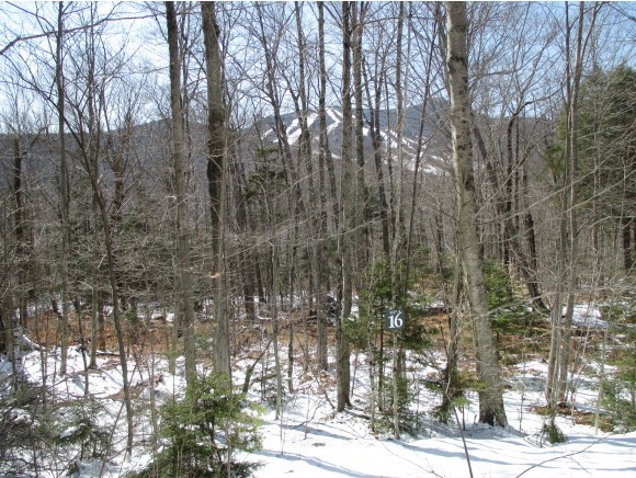 85-16 Cascade Ridge Road Waterville Valley, NH 03215 - Photo 2 of 3