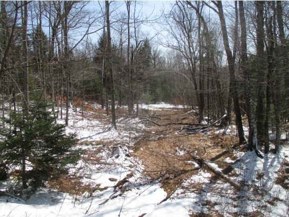 85-16 Cascade Ridge Road Waterville Valley, NH 03215 - Photo 3 of 3
