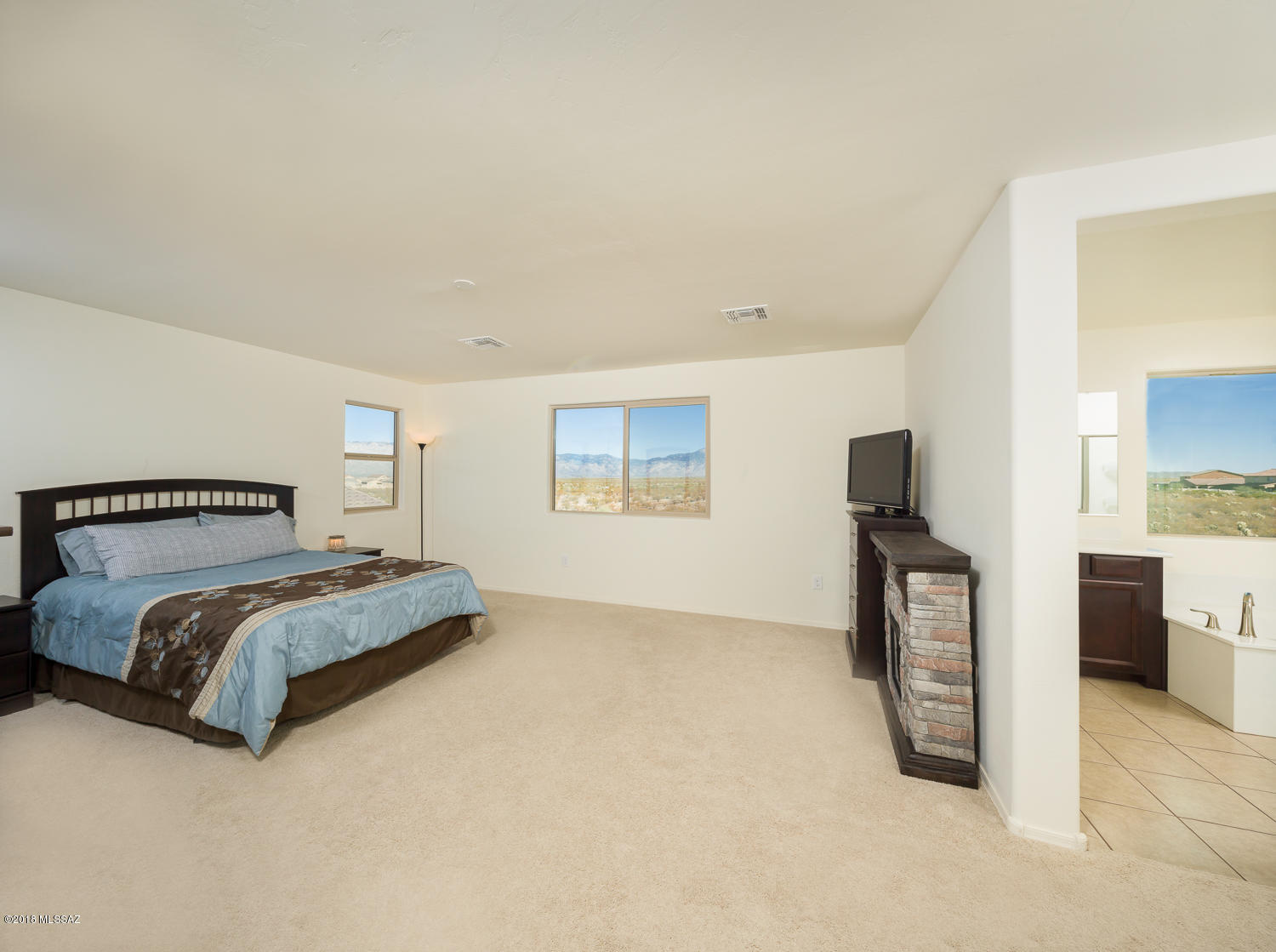 9410 South Horned Lizard Loop South Tucson, AZ 85747 - Photo 15 of 28