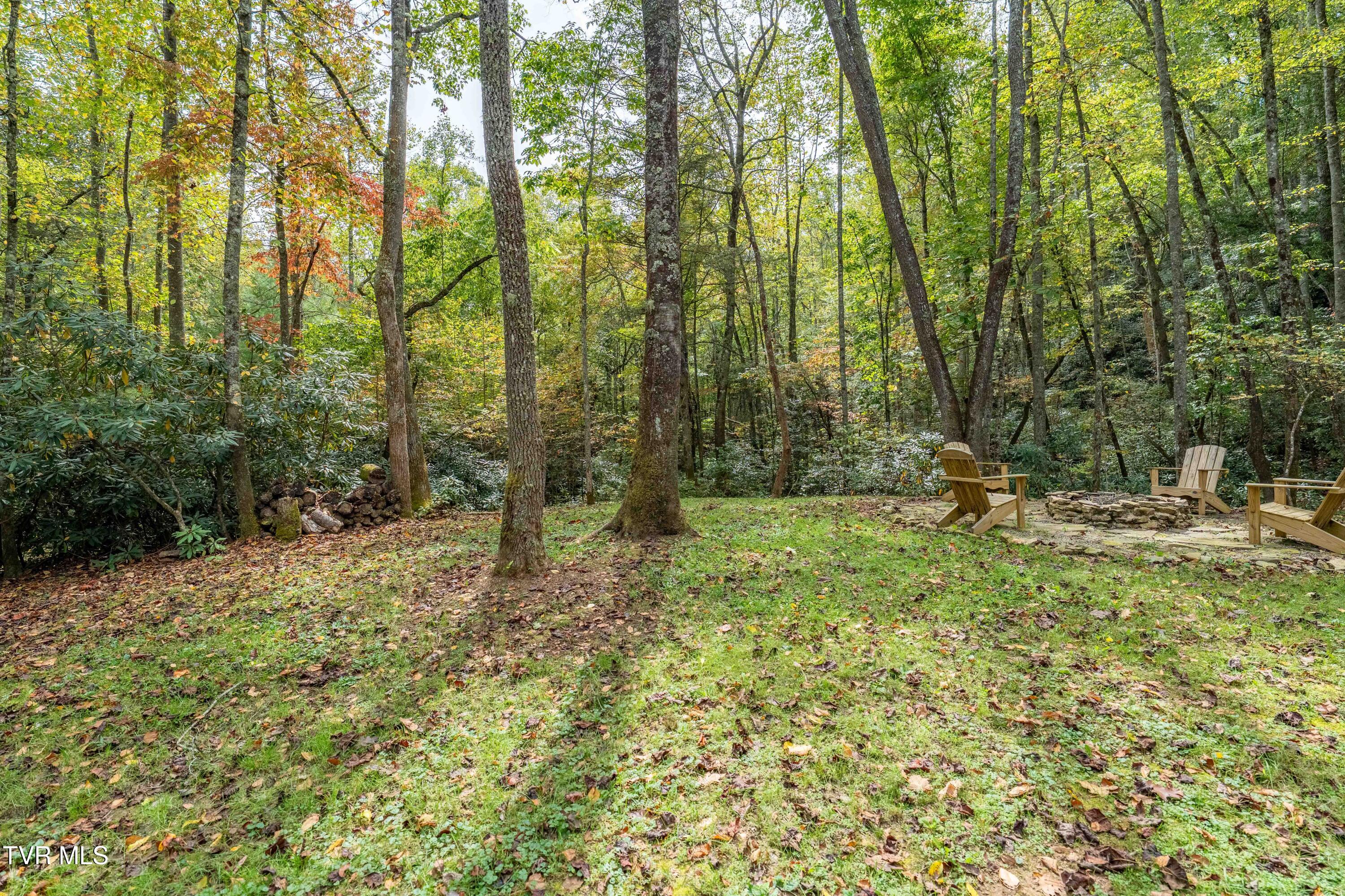 268 A Moreland Drive Butler, TN 37640 - Photo 59 of 65 268 Moreland Dr (23 of 65)