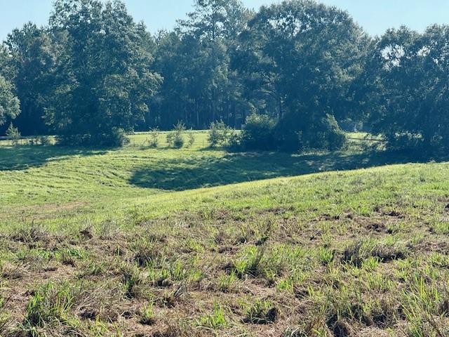 Tbd Bennie Morris Road Mount Hermon, LA 70450 - Photo 6 of 17