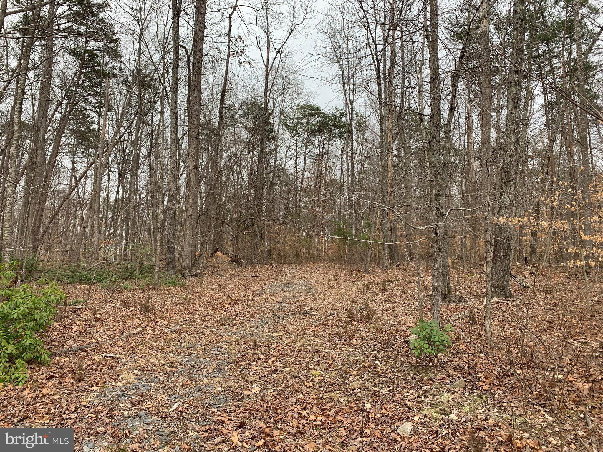 0 Waterloo Road Amissville, VA 20106 - Photo 4 of 5 Driveway