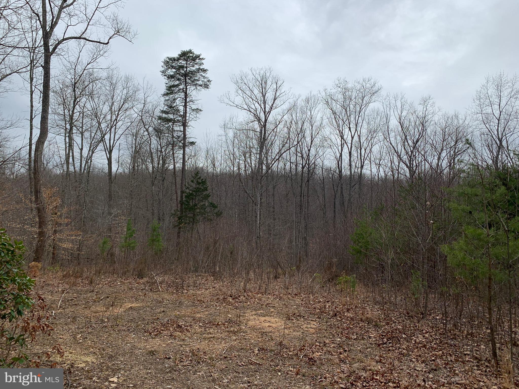 0 Waterloo Road Amissville, VA 20106 - Photo 5 of 5 House site
