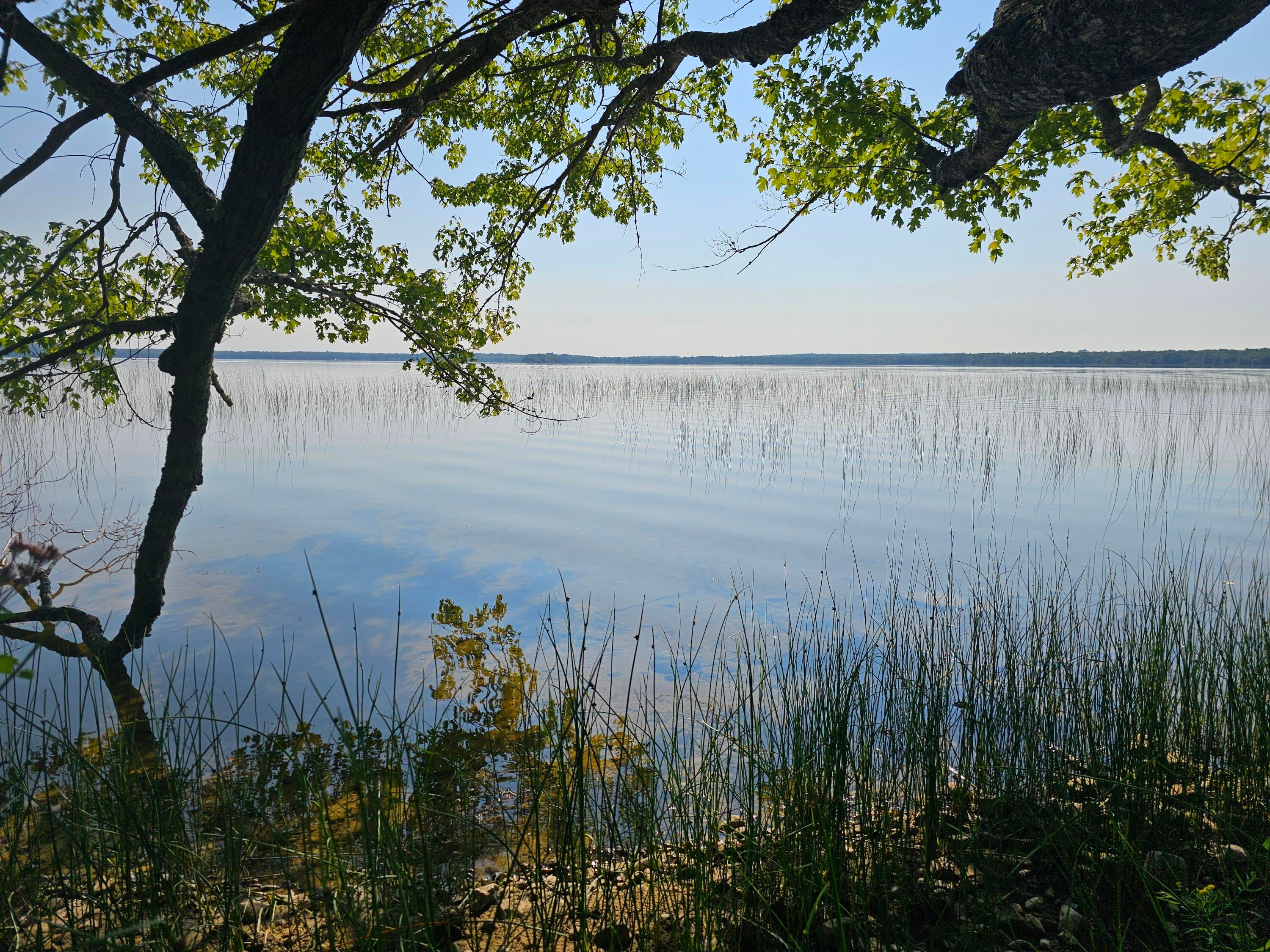 0 Sherman Road Germfask, MI 49836 - Photo 1 of 16 Gallery Image 1