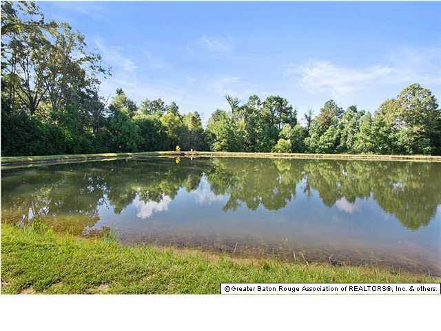 8780 Lemon Road Slaughter, LA 70777 - Photo 13 of 16 Gallery Image 13