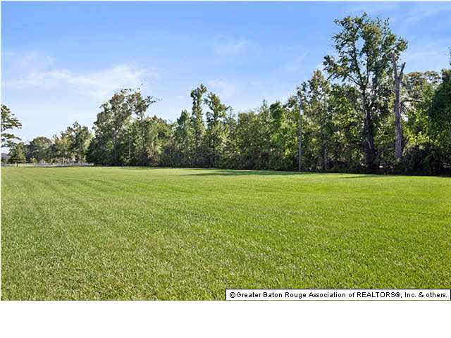 8780 Lemon Road Slaughter, LA 70777 - Photo 15 of 16 Gallery Image 15