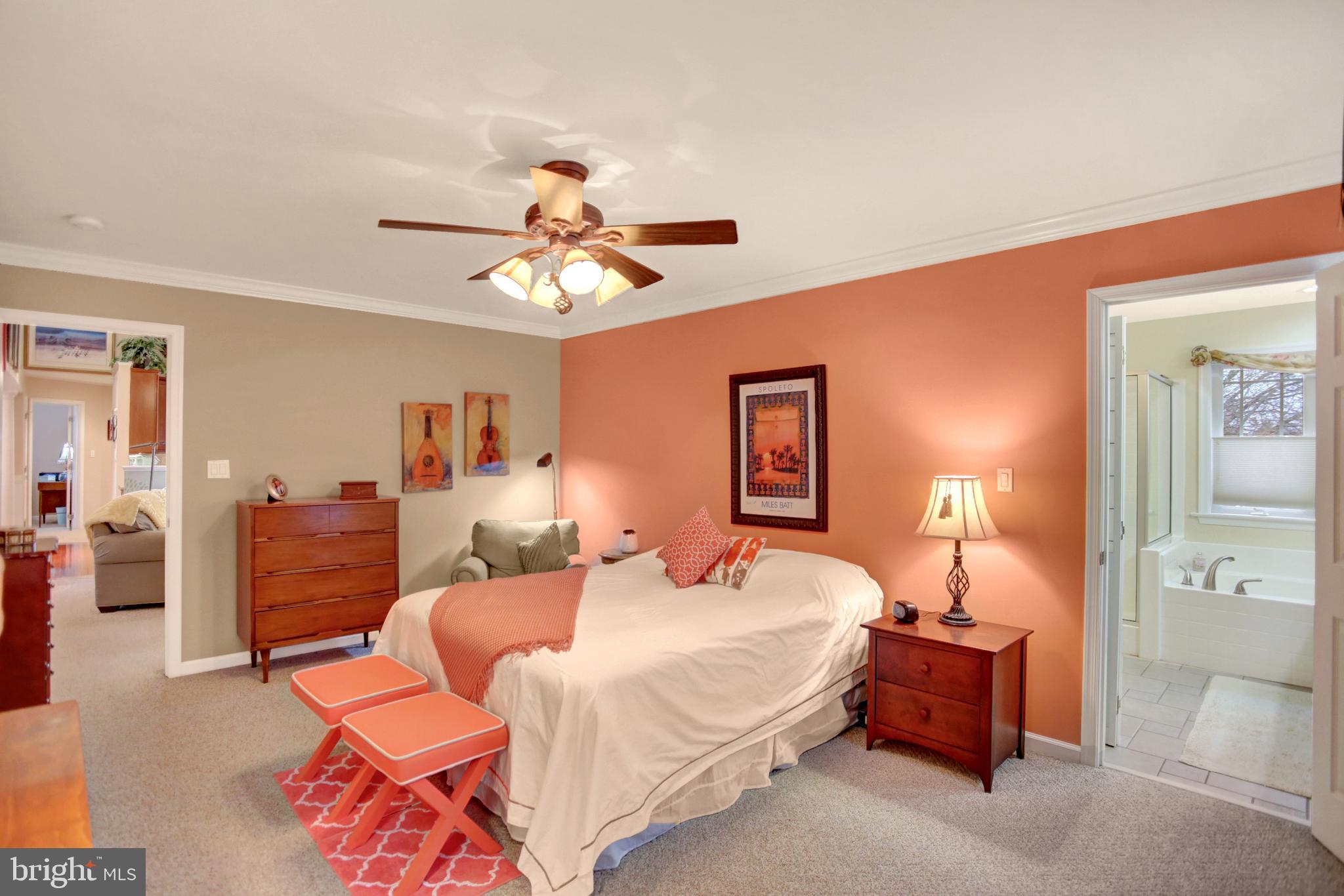 23 Orion Road Boiling Springs, PA 17007 - Photo 18 of 36 Master Bedroom with ceiling fan and crown molding