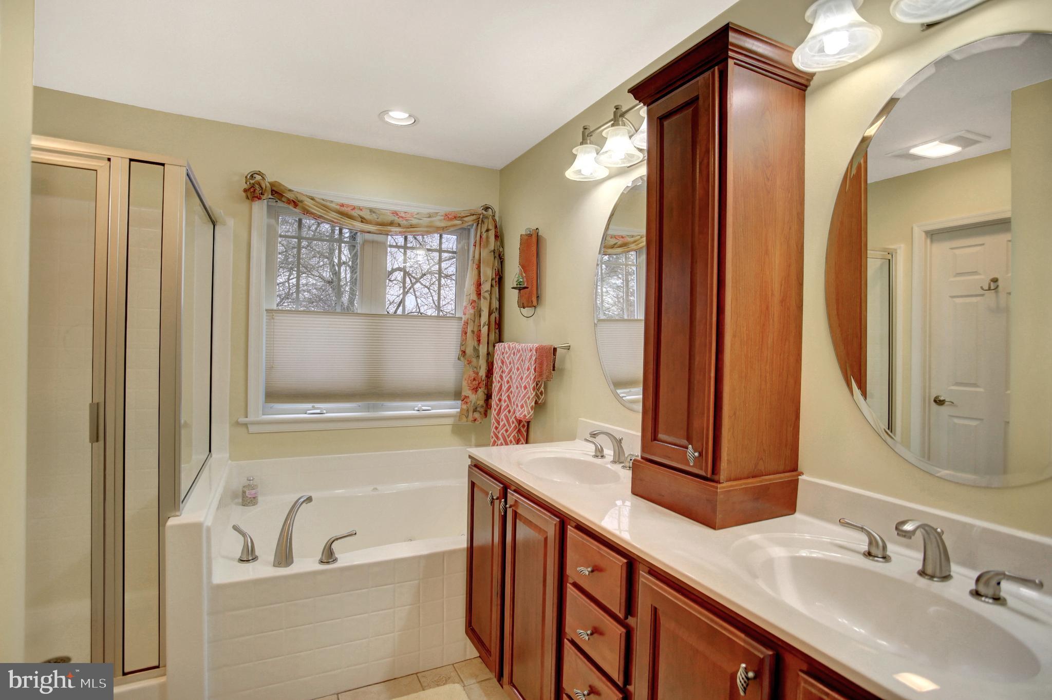 23 Orion Road Boiling Springs, PA 17007 - Photo 23 of 36 Master Bath with double bowl vanity