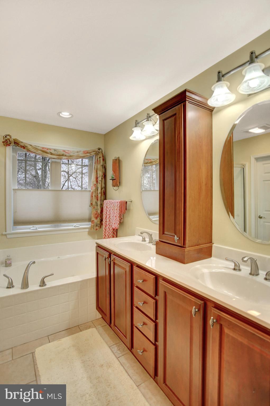 23 Orion Road Boiling Springs, PA 17007 - Photo 24 of 36 Master Bath