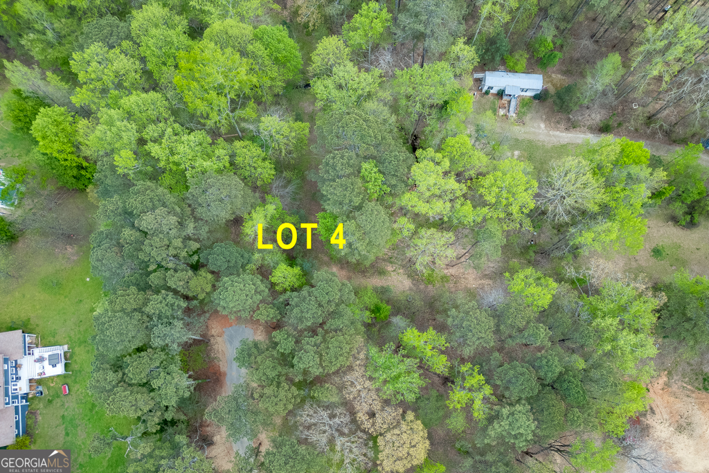 7950 Lotus Walk Cumming, GA 30041 - Photo 5 of 13 a view of a forest with a street sign