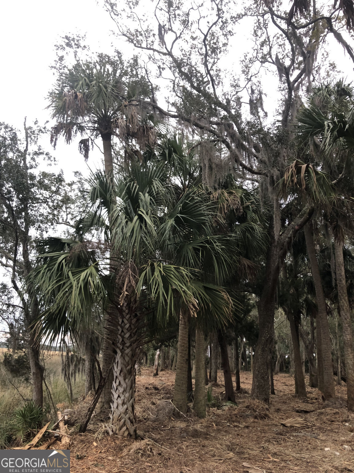 105 Navigator Way Waverly, GA 31565 - Photo 26 of 26