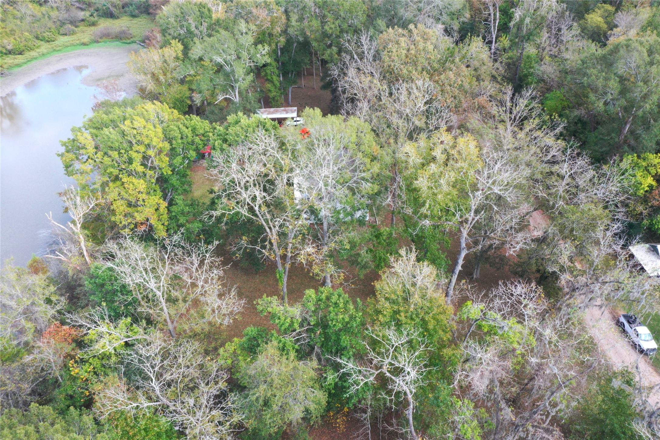 223 County Road 2167B Cleveland, TX 77327 - Photo 49 of 50